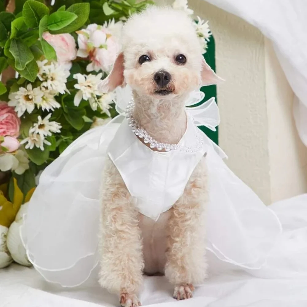 New dog wedding dress with tulle